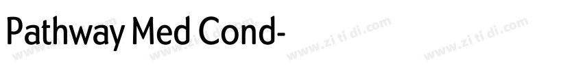 Pathway Med Cond字体转换 Pathway Med Cond字体转换